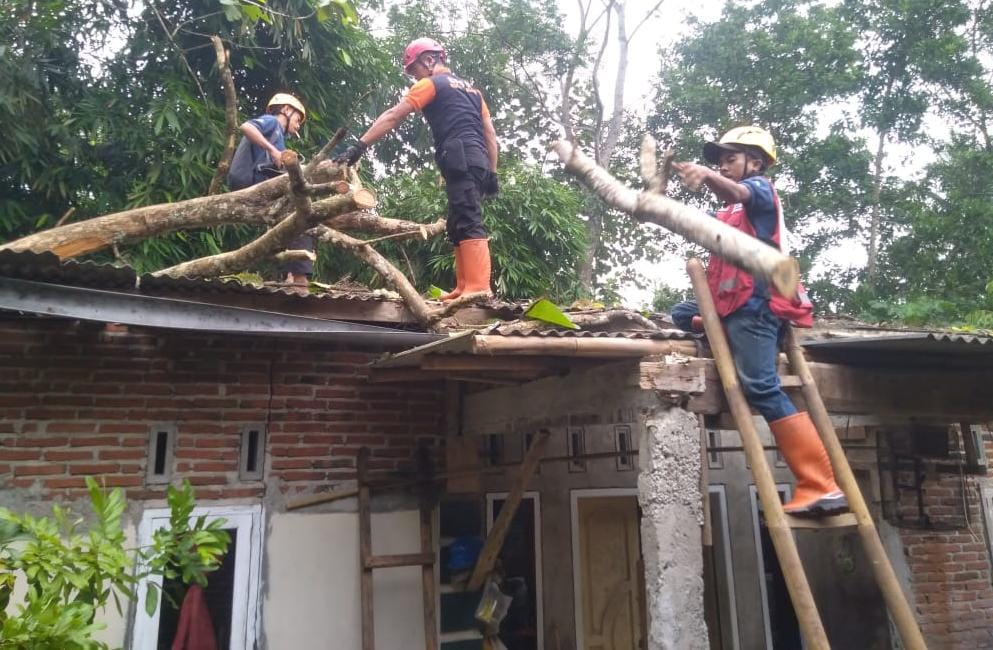 Hujan Deras Mengguyur Kota Banjar, Pohon Tumbang Timpa Rumah hingga Tembok Ambruk