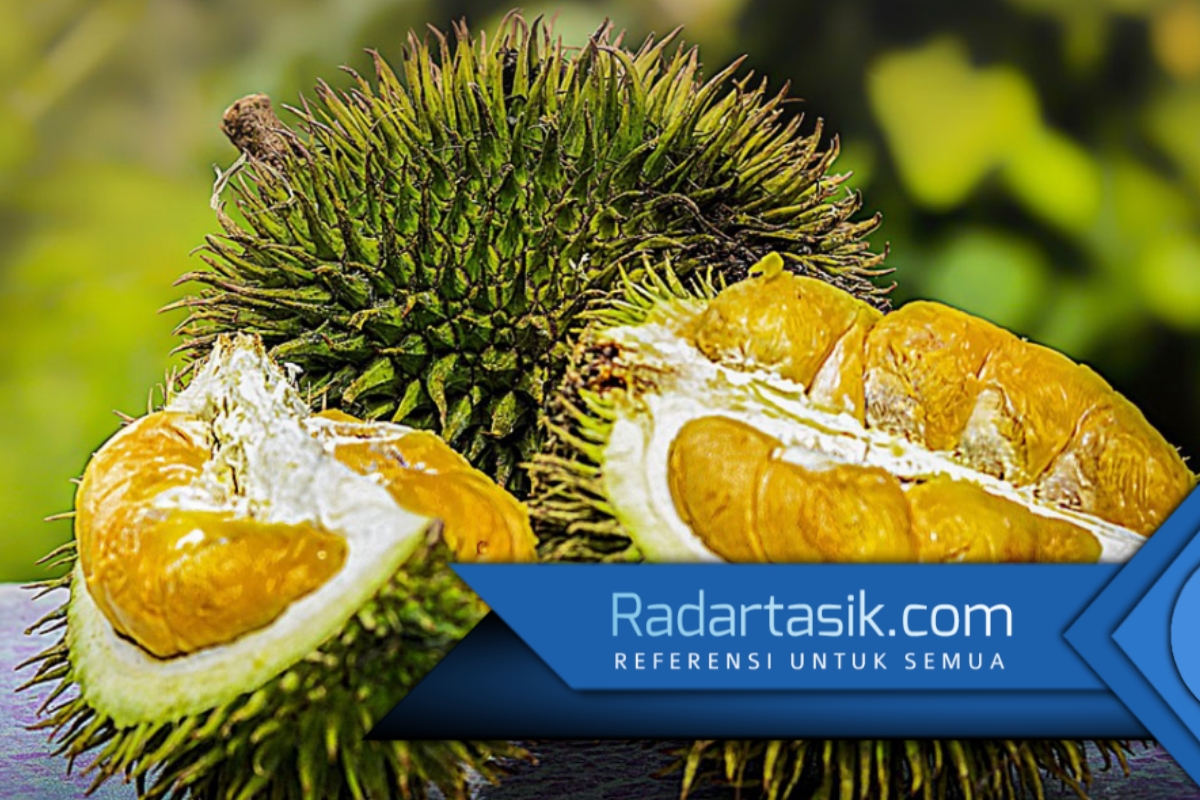 Nutrisinya Lengkap! Ini 6 Manfaat Biji Durian untuk Mencegah Penyakit dan Menjaga Kesehatan