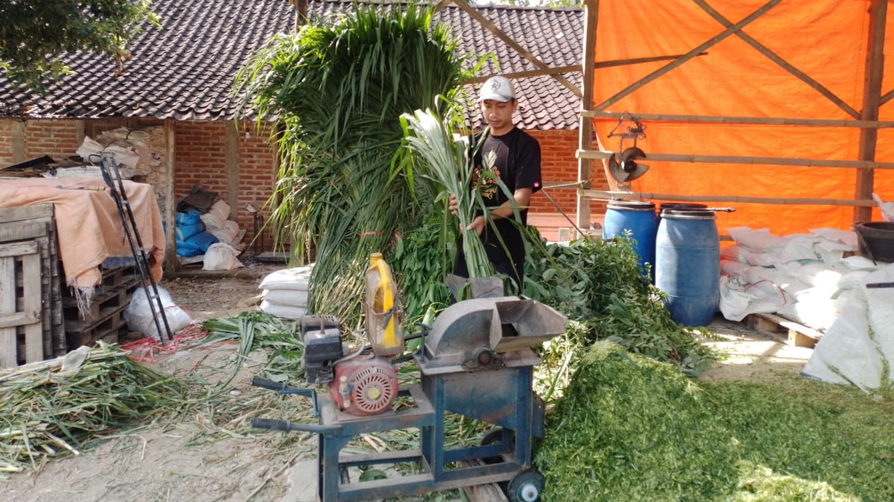 Kisah Pengusaha Pakan Ternak dari Ponorogo Ini Buktikan KUR BRI Bisa Bikin Usaha Berkembang