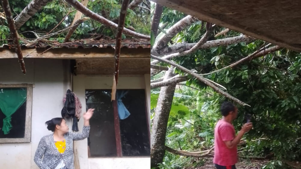 Rumah Warga Kabupaten Tasikmalaya Rusak Tertimpa Pohon saat Diguyur Hujan Deras