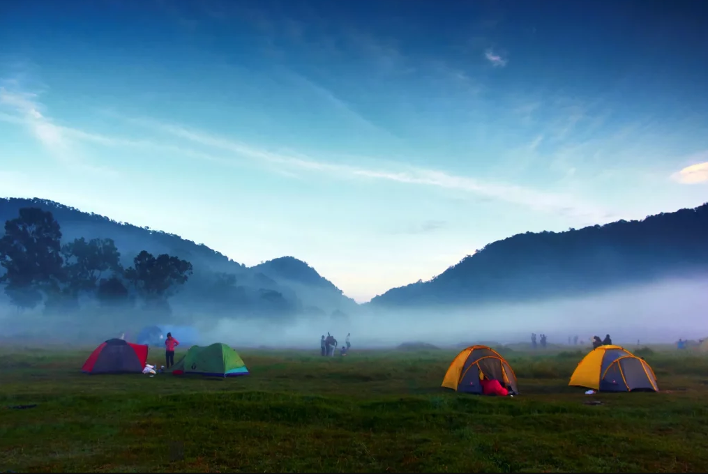 Wisata Alam Bandung Ranca Upas Surga Tersembunyi di Bandung Selatan