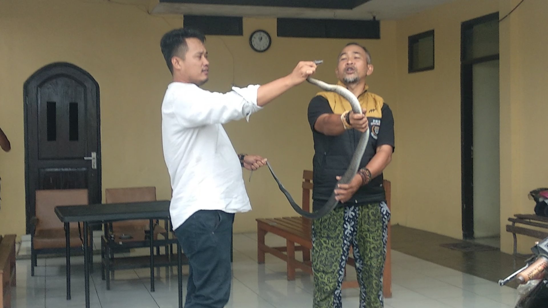 Ular Masuk Rumah Warga di Mangkubumi, Polisi Ikut Turun Tangan