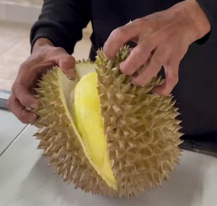 Ternyata Durian Silayung Lokal Tasikmalaya Mampu Bersaing dengan Kualitas Unggul Seperti Montong