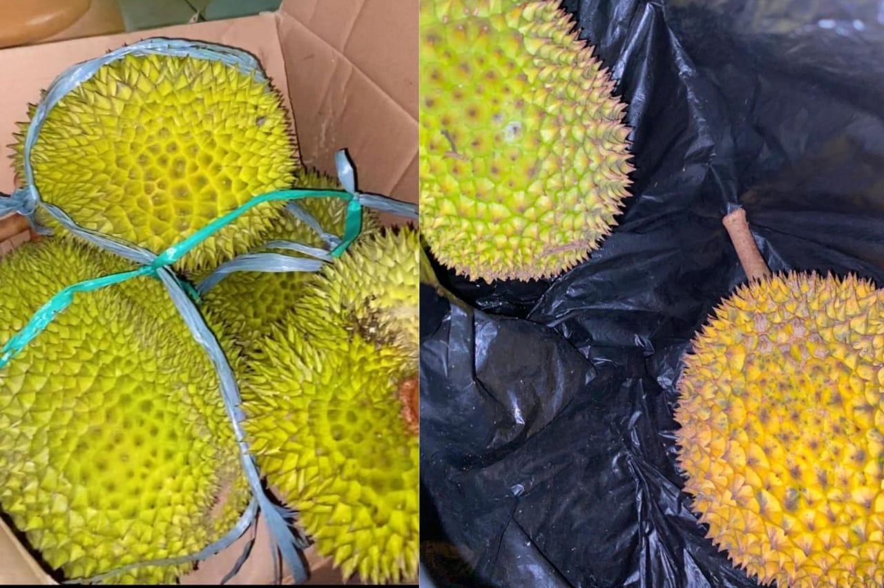 YUMMY Rasa Durian Tasikmalaya Cukup Manis dan Legit, Ukurannya Mungil dan Harganya Terjangkau