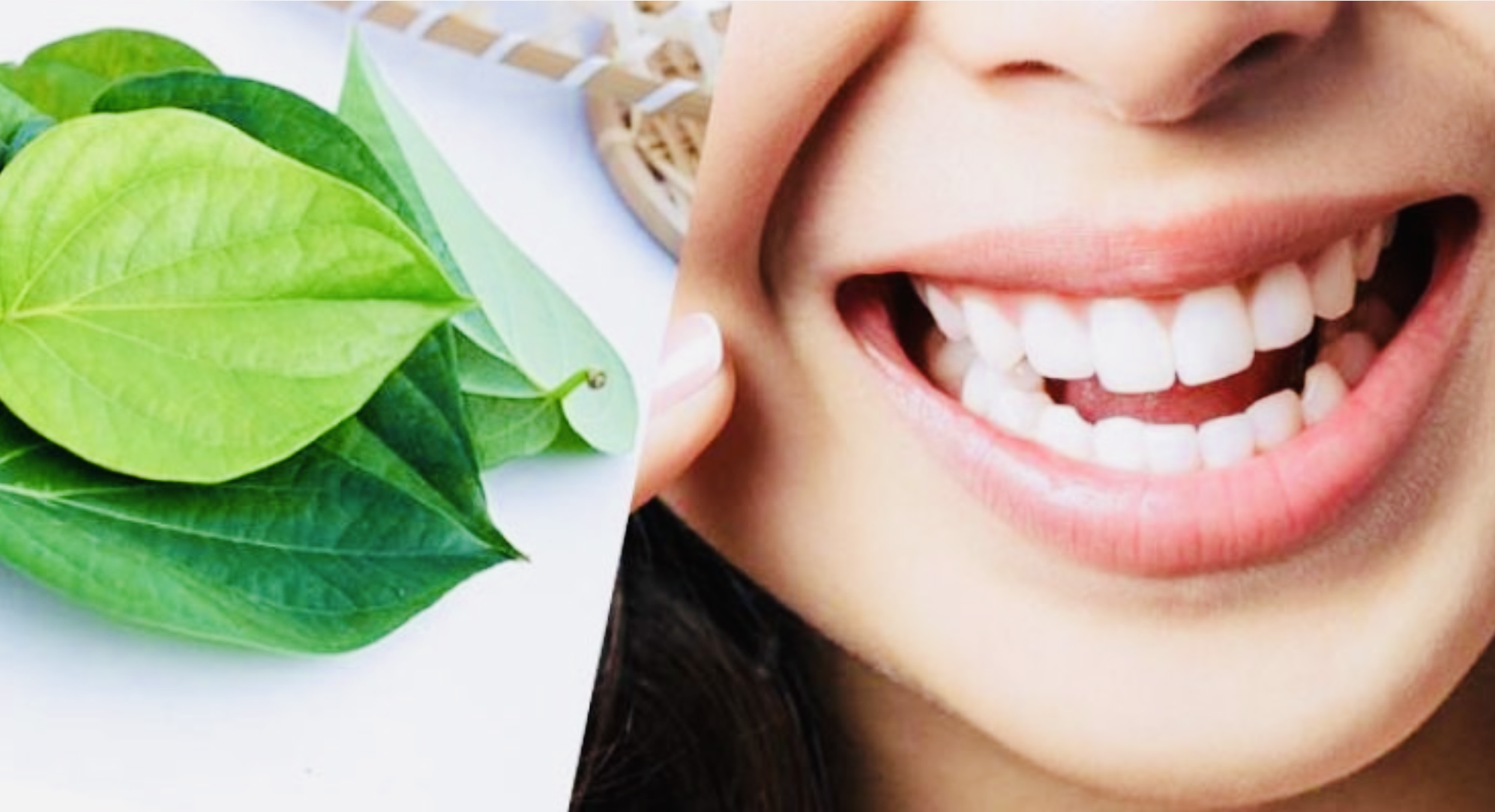 Manfaat Daun Sirih untuk Kesehatan Gigi dan Mulut, Dicoba Yuk Biar Sehat