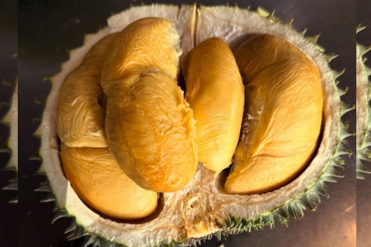 Musang King: Raja Durian Paling Mahal dari Malaysia, Begini Asal Usulnya! 