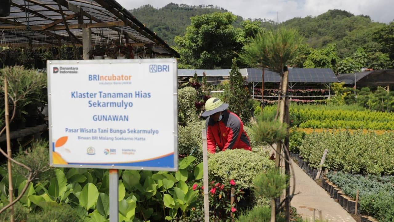 Perkuat Ekonomi Kerakyatan, BRI Berdayakan 41 Ribu Klaster Usaha Melalui Pembiayaan dan Literasi Keuangan