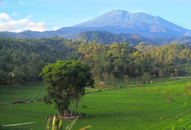 Menyatu dengan Alam, Ini Rekomendasi Gunung di Jawa Barat yang Cocok Didaki Pada Libur Akhir Tahun