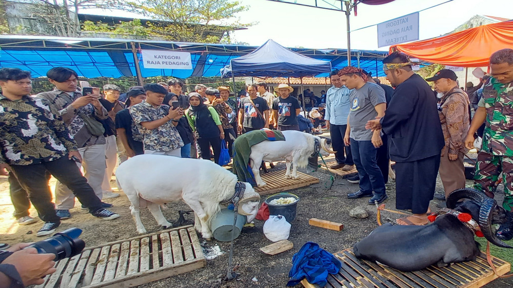 Penjabat Wali Kota Tasikmalaya Apresiasi Expo Peternakan dan Kontes Ternak 2024, Begini Katanya