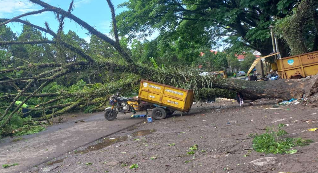 Pohon Tumbang di Kompleks Olahraga Dadaha Timpa Motor Sampah, BPBD Siaga Evakuasi