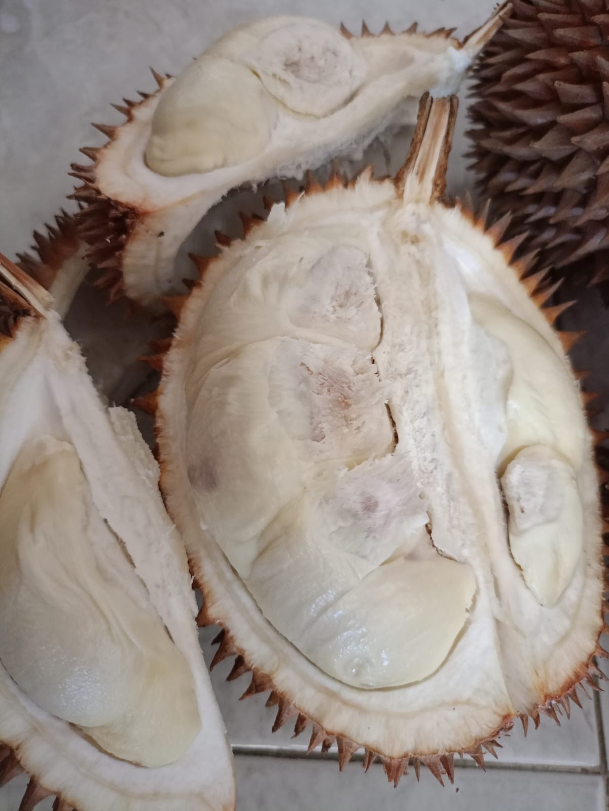 Tasikmalaya Banjir Durian, 21 Ribu Ton Durian Tasikmalaya Sudah Dipanen, Bagaimana dengan Harganya?