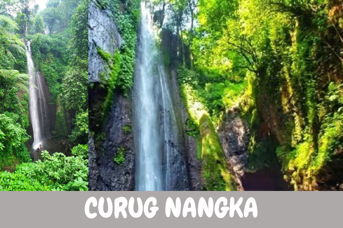 Mengintip Pesona Curug Nangka, Air Terjun Indah di Kaki Gunung Salak