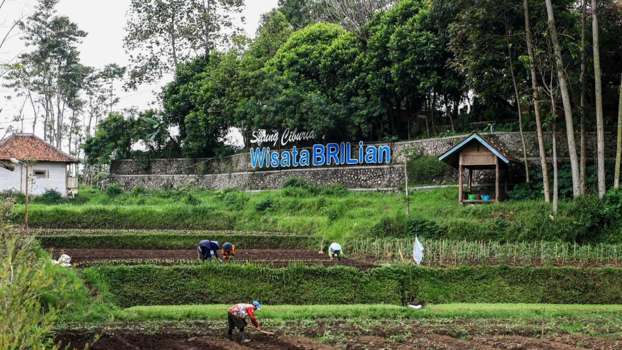 Jangkau 5.245 Desa BRILiaN, BRI Perluas Dukungan bagi Pengembangan Ekonomi Desa