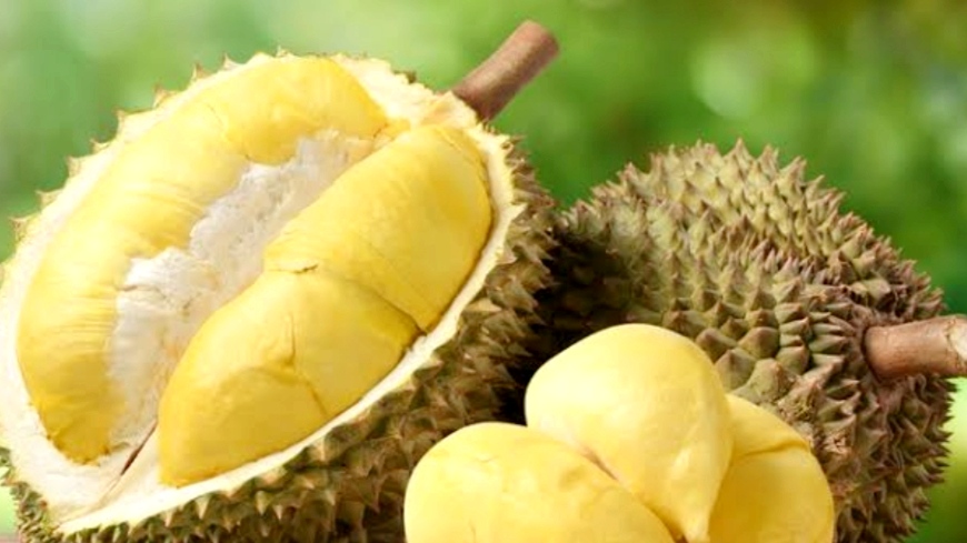 Simak Baik-Baik, Apakah Ibu Hamil Boleh Makan Durian Musang King? Ini Penjelasannya