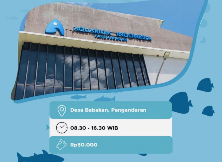 5 Aquarium yang Dipajang di Aquarium Indonesia Pangandaran, Yuk Mengenal Biota Laut Nusantara