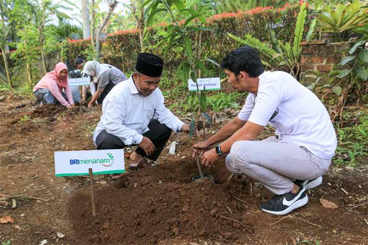 Dukung Pengurangan Emisi, BRI Menanam Proyeksikan Penyerapan Emisi Karbon Hingga 108 Ribu Ton CO2