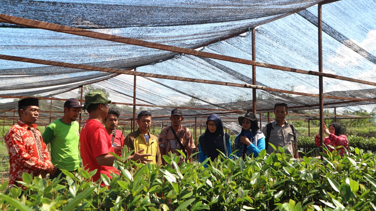 Pemerintah Kampung Dumaring Mengikuti Program Kampung Iklim, Penanaman Mangrove Jadi Bahan Penilaian
