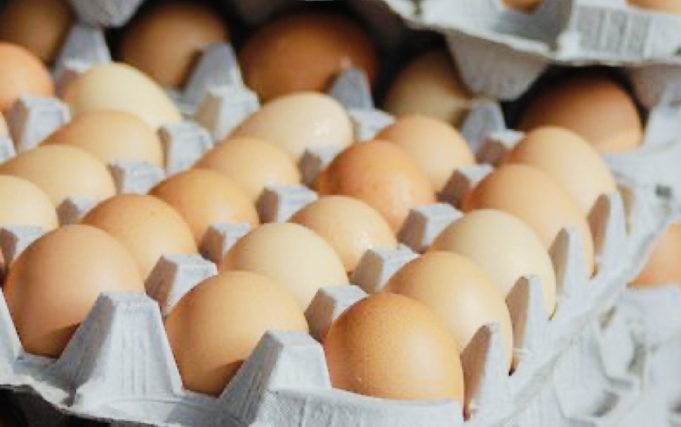 Harga Telur Ayam di Dua Pasar Besar di Kota Tasik Terus NAIK