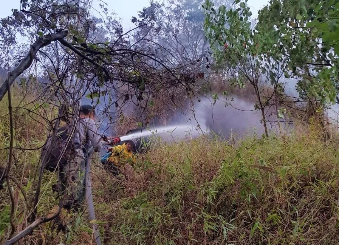 Kebakaran Gunung Ciremai: Api Sudah Bisa Dipadamkan, Hari Ini Luasan Lahan yang Terbakar Didata