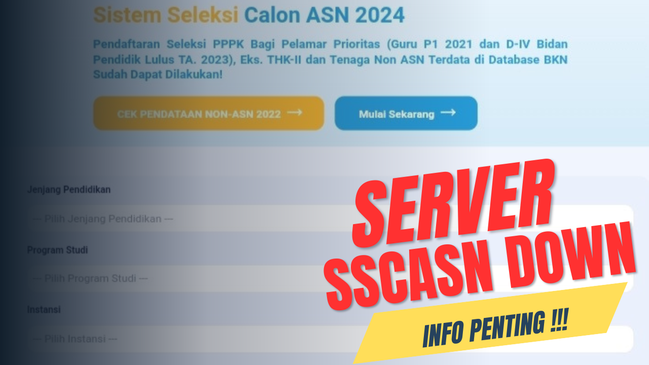 SSCASN Down: Kendala Pendaftaran PPPK 2024 di Hari Terakhir