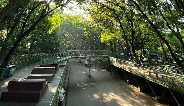 Kamu Mau ke Baksil? Ini Tata Tertib di Taman Hutan Kota Babakan Siliwangi, Rasakan Segarnya Udara Bandung