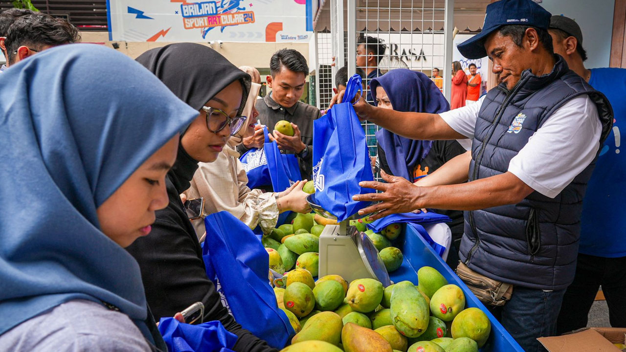 Diberdayakan BRI, Petani Mangga Bondowoso Mampu Perluas Lahan dan Tingkatkan Taraf Hidup