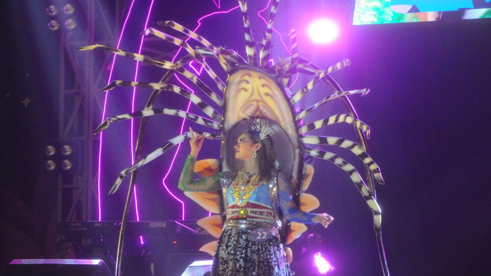 Kostum Biota Laut di Pangandaran Night Carnival 2023 Memukau Ribuan Penonton