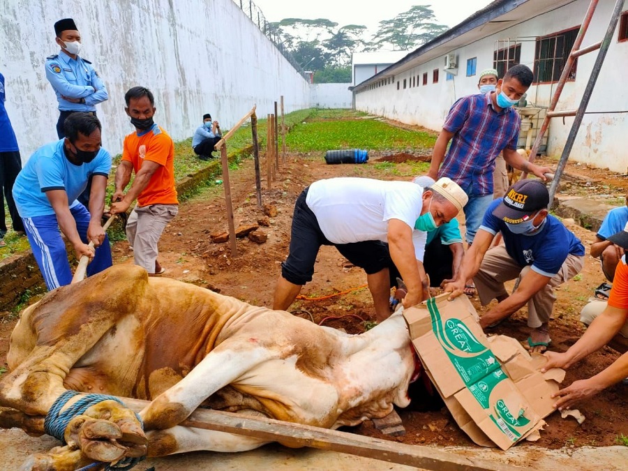 Adab Menyembelih Hewan Qurban: Panduan Lengkap untuk Melaksanakan Qurban dengan Benar