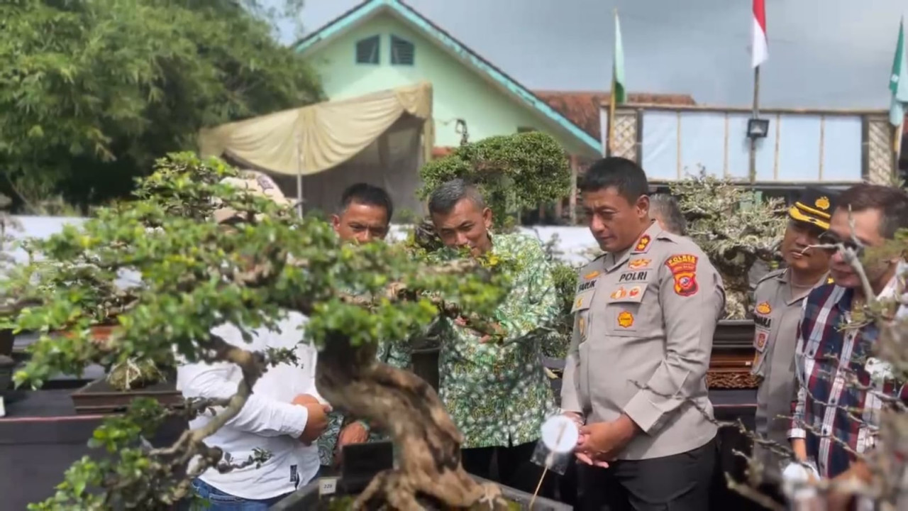 Lebih dari Lomba, Rebon Booyong 3 Jadi Ajang Eratkan Polisi Tasikmalaya dan Komunitas Bonsai