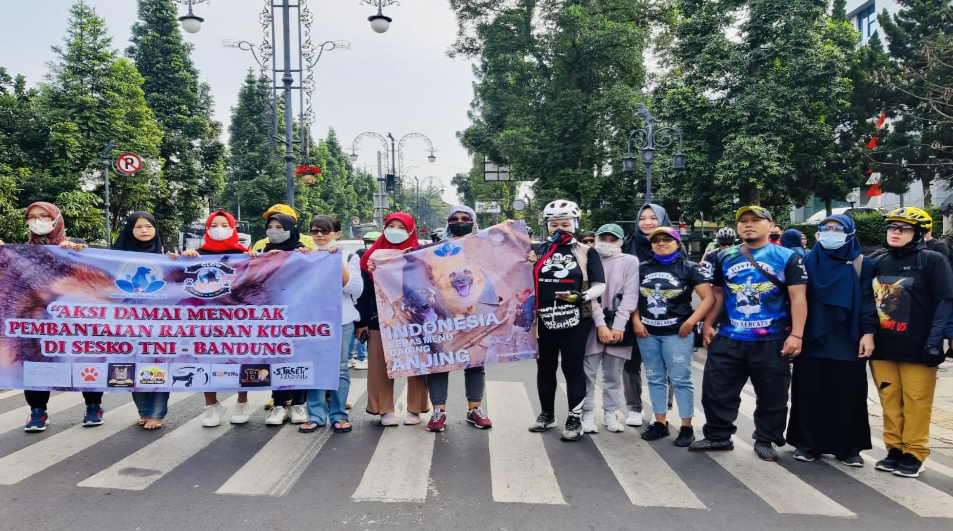 Ini Aksi Damai Para Pecinta Kucing di Bandung, Buntut dari Kejadian Penembakan Kucing di Sesko TNI