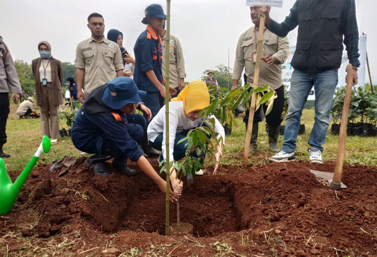 Atalia Ridwan Kamil Kampanyekan Tanam Pohon Buah, Ibu Negara Apresiasi Pemprov Jabar
