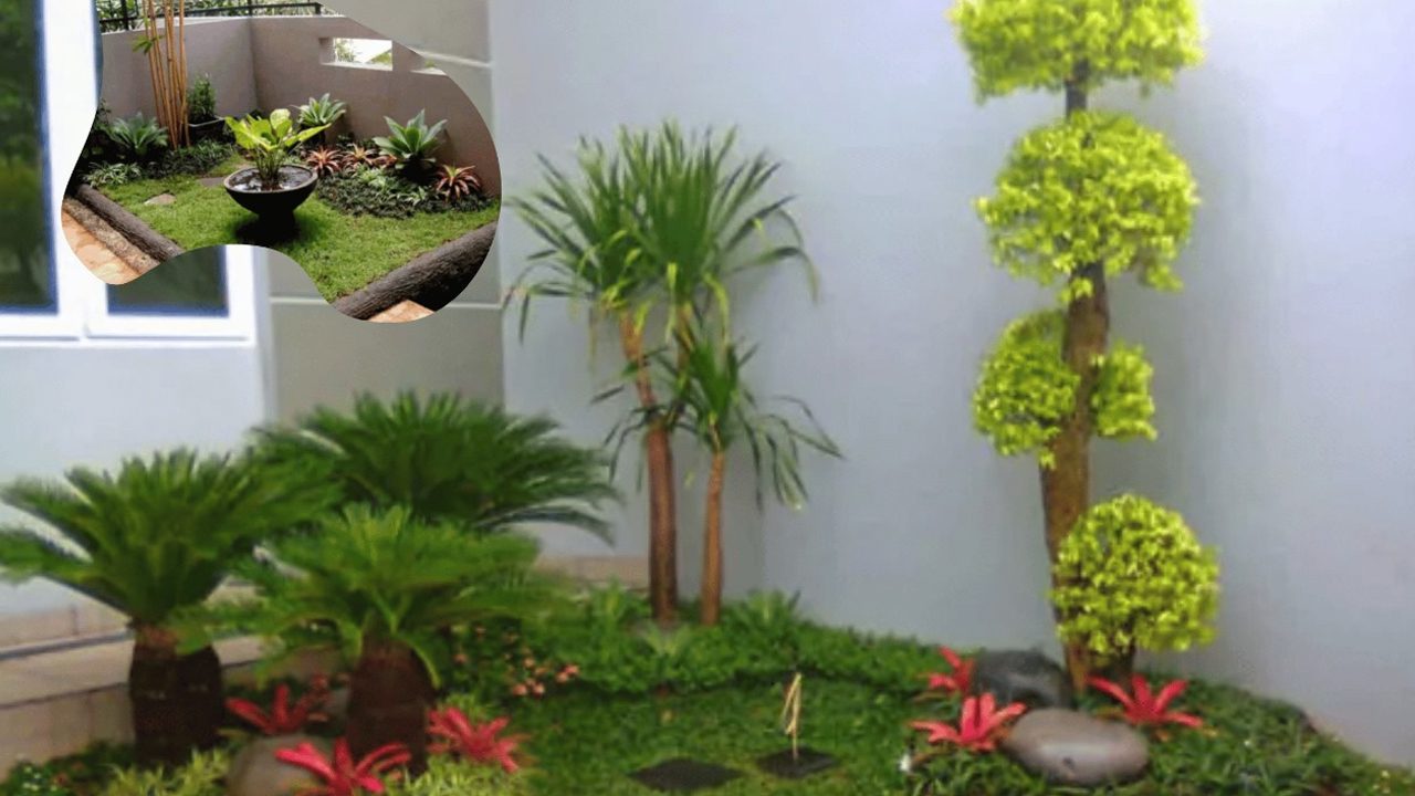 Rumah Tipe 36 Bisa Asri, Ini 7 Ide Taman Mungil Super Hemat Ruang
