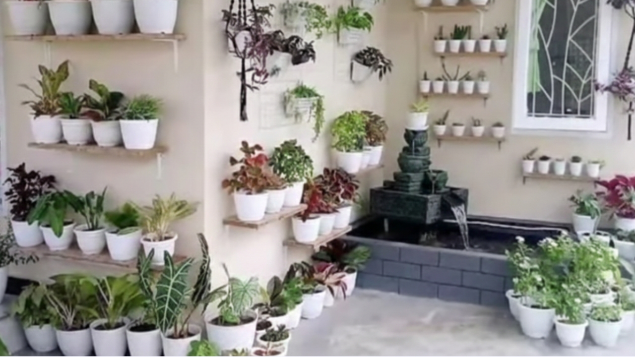 10 Tanaman Indoor untuk Rumah estetis: Cantik, Mudah Dirawat, dan Bikin Udara Lebih Segar