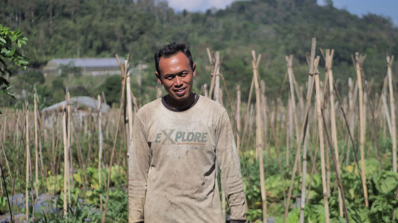 Mengenal Desa BRILian Sumowono, Desa Sayur yang Tumbuh dan Terus Berinovasi Bersama BRI