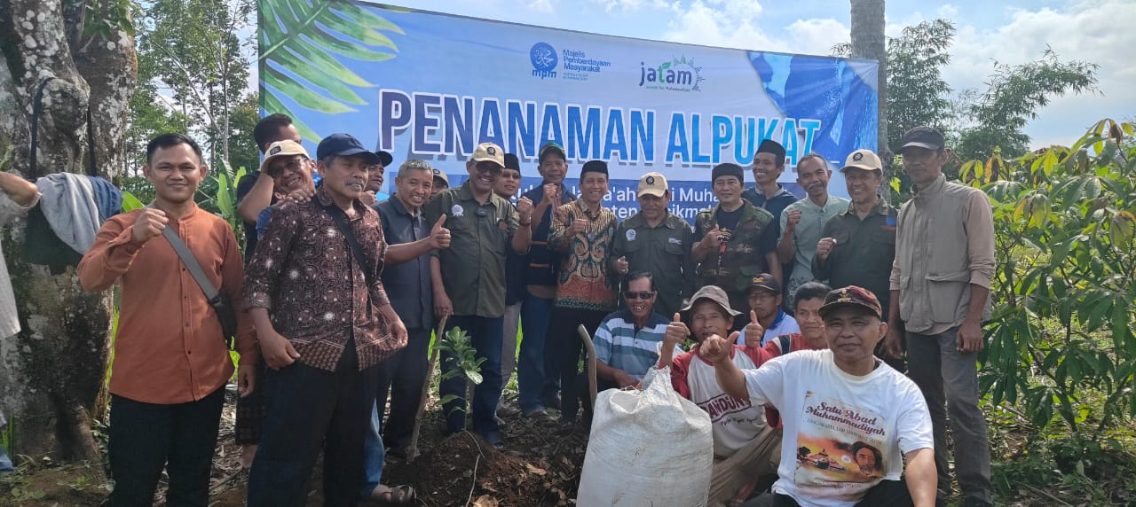 Berdayakan Petani, Muhammadiyah Kabupaten Tasikmalaya Tanami Tanah Wakaf dengan Ratusan Pohon Alpukat