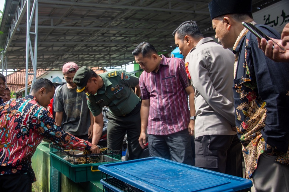 Manjur, Cara Pengelolaan Sampah di Kota Tasikmalaya Lewat Ternak Maggot, Serap 1,5 Ton Sampah Organik