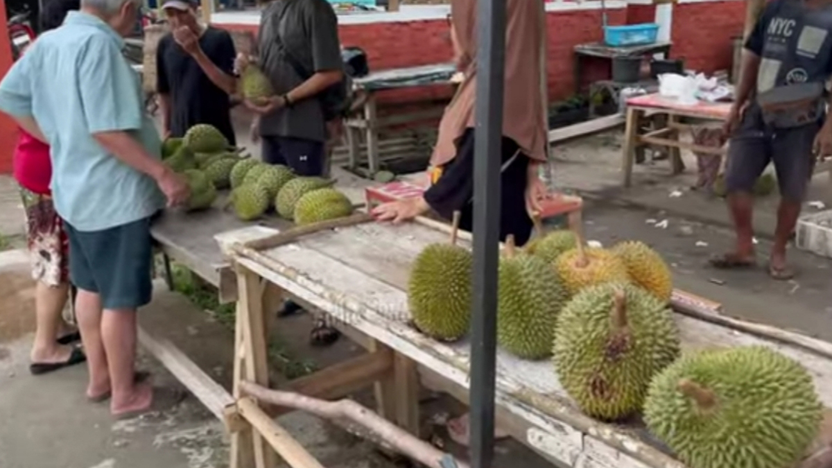 Musim Durian di Bangka Sudah Akan Berakhir, Ini Update Harganya!