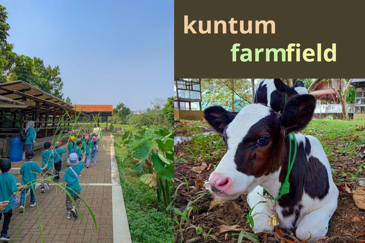 Kuntum Farmfield Bogor, Destinasi Wisata yang Cocok untuk Anak-anak