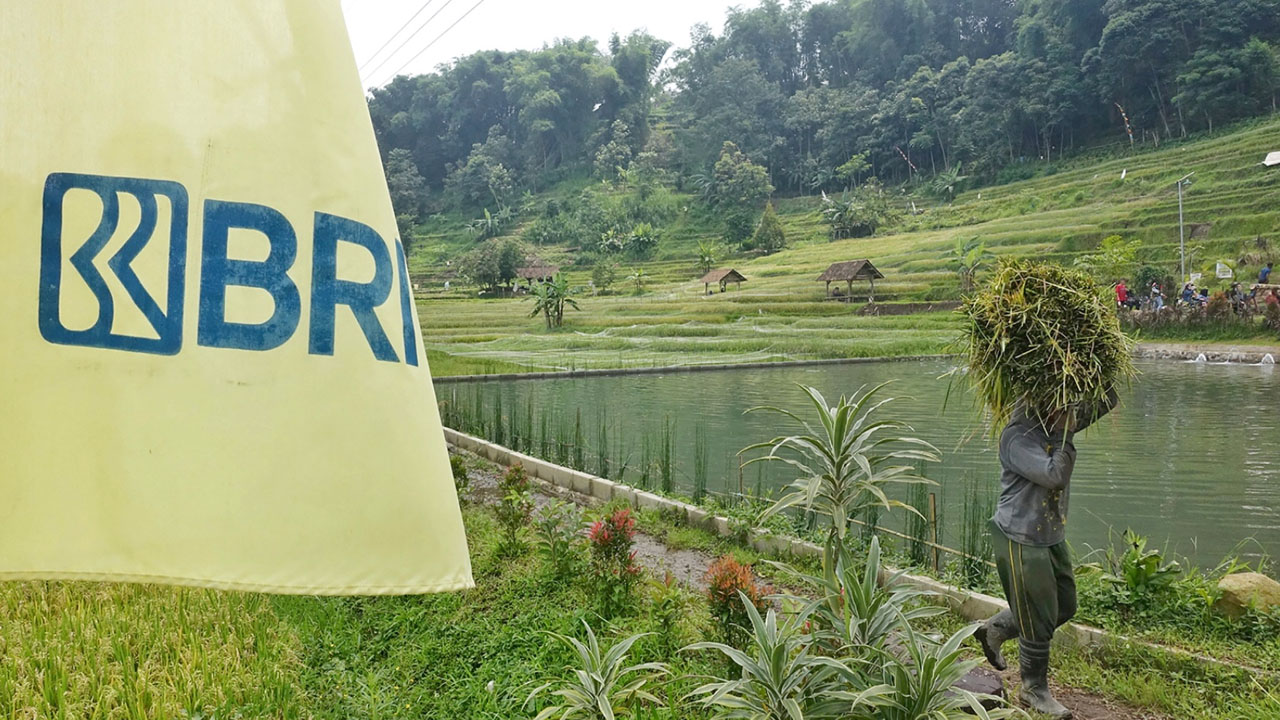 BRI Salurkan KUR Rp 83,38 triliun, Pertanian Jadi Motor Utama