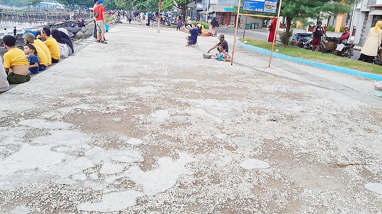 Pedestrian Pantai Timur Pangandaran Mulai Rusak