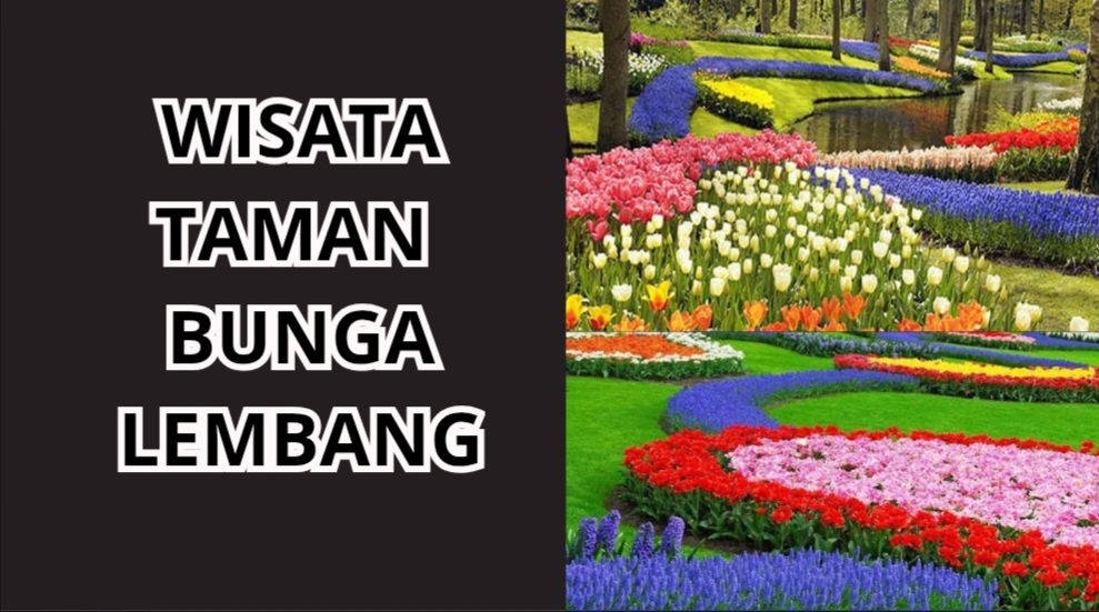 4 Objek Wisata Taman Bunga Lembang yang Ramah untuk Lansia, Minim Jalan Kaki