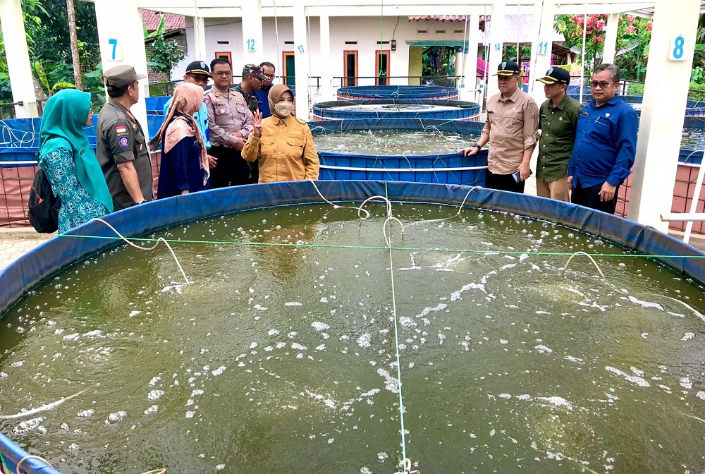 Budidaya Ikan Bioflok di Kota Banjar Melempem, Dinas KP3 Ancang-ancang Ambil Langkah