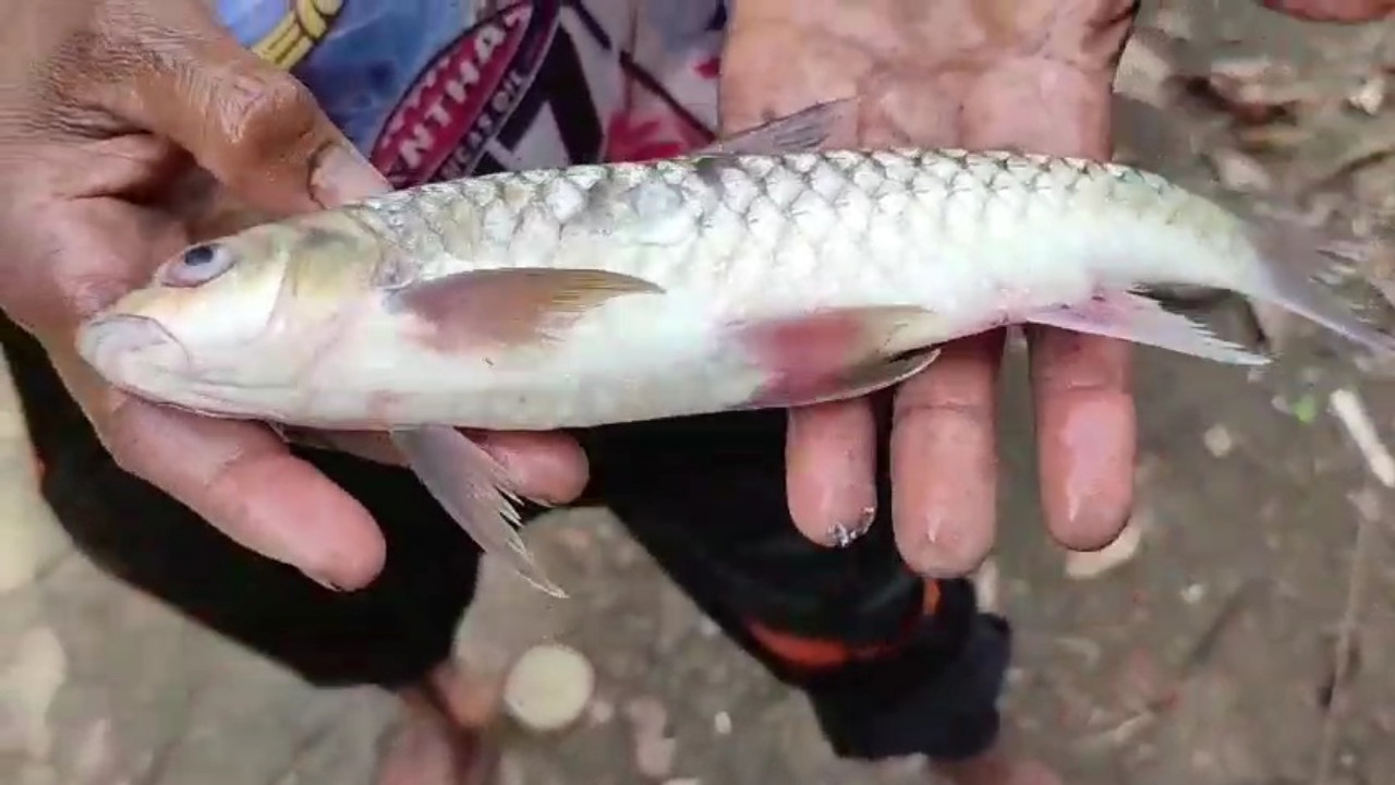 Walhi Desak Pemprov Jabar Usut Tuntas Dugaan Pencemaran Sungai Ciwulan di Kampung Naga Tasikmalaya