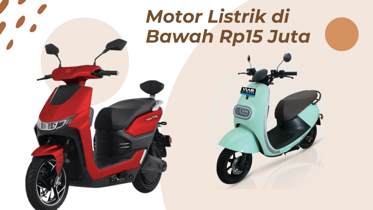 Panduan Memilih Tanaman Hias Aman untuk Kucing di Dalam Rumah