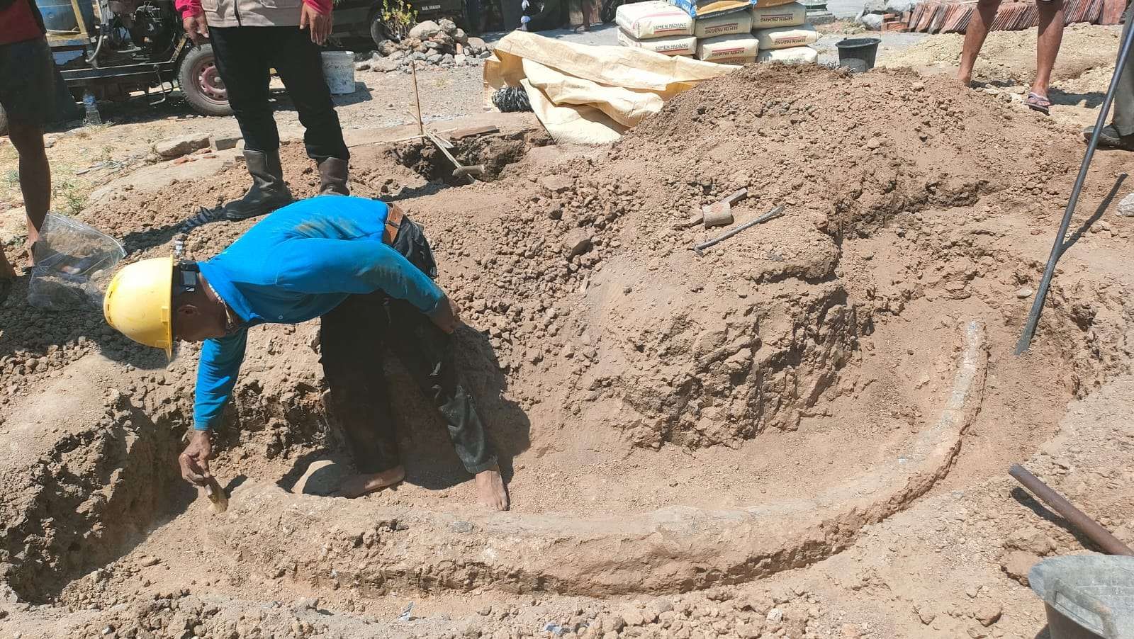 Kembali ke Permukaan Setelah 800.000 Tahun Panjang Fosil Gading Purba Capai 3,25 Meter