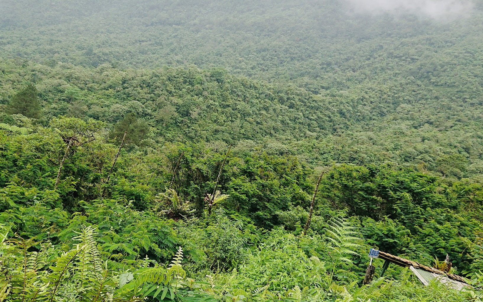 Hati-Hati Pengunjung Dilarang Lakukan Ini Kepada Penghuni Gunung Galunggung 