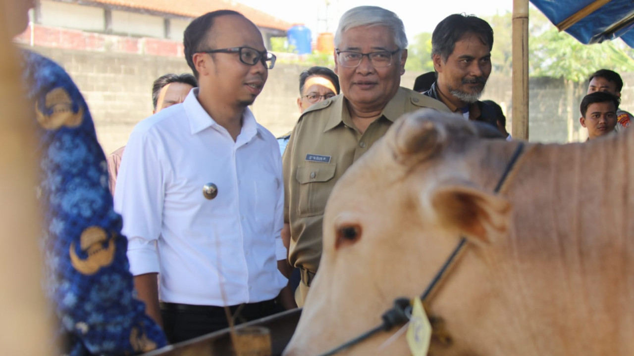 Pemkot Tasikmalaya Intensifkan Pemeriksaan Hewan Kurban Jelang Idul Adha