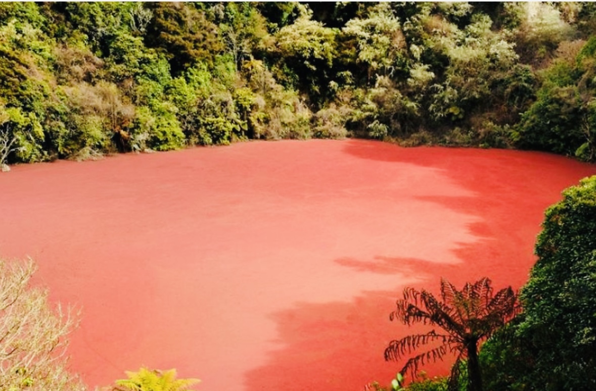 Misteri Danau Merah Rimba Candi di Sumatera Selatan, Airnya Berwarna Merah Darah, Seperti Apa Legendanya?