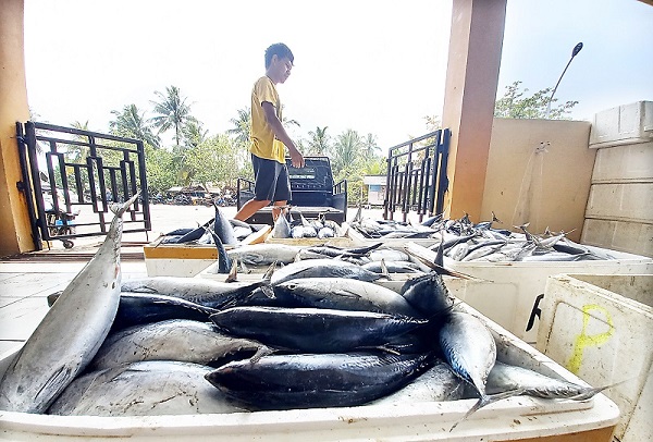 Nelayan Lebih Untung Kalau Jual Ikan di Tempat Pelelangan