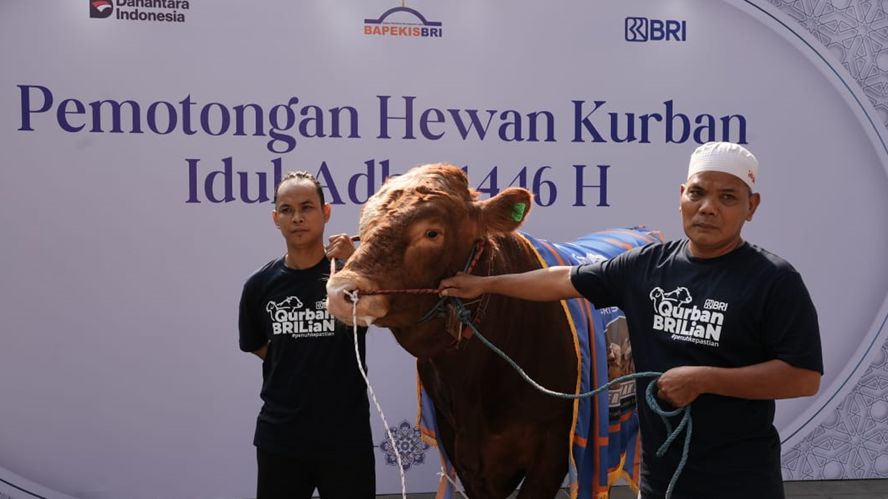 Semangat Berbagi Idul Adha 1446 H, Bapekis dan Karyawan BRI Salurkan 961 Hewan Kurban untuk Masyarakat